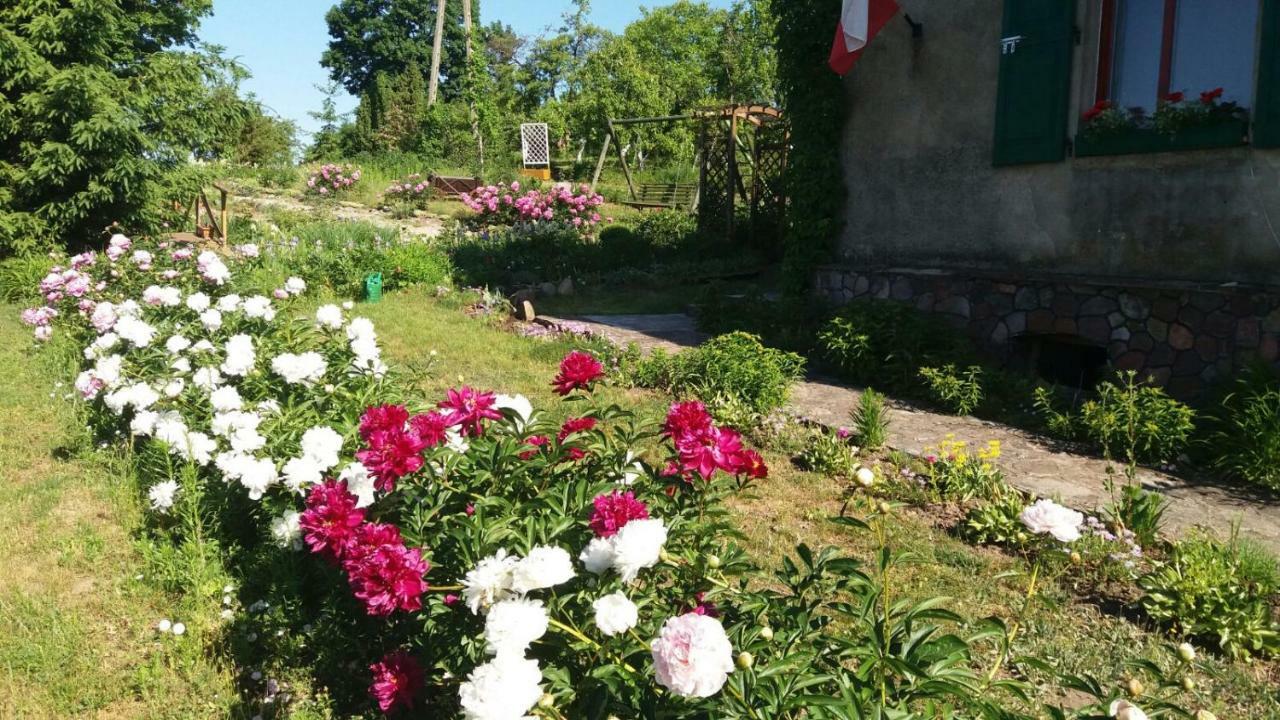 Apartament Nad stawem Biala Olecka Zewnętrze zdjęcie